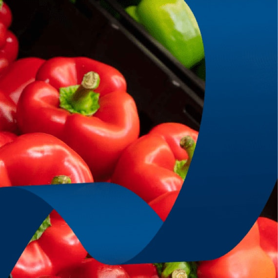 Samfélagsskýrsla Samkaupa 2020